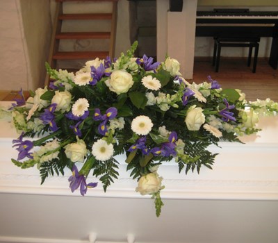 Blå iris, hvide roser